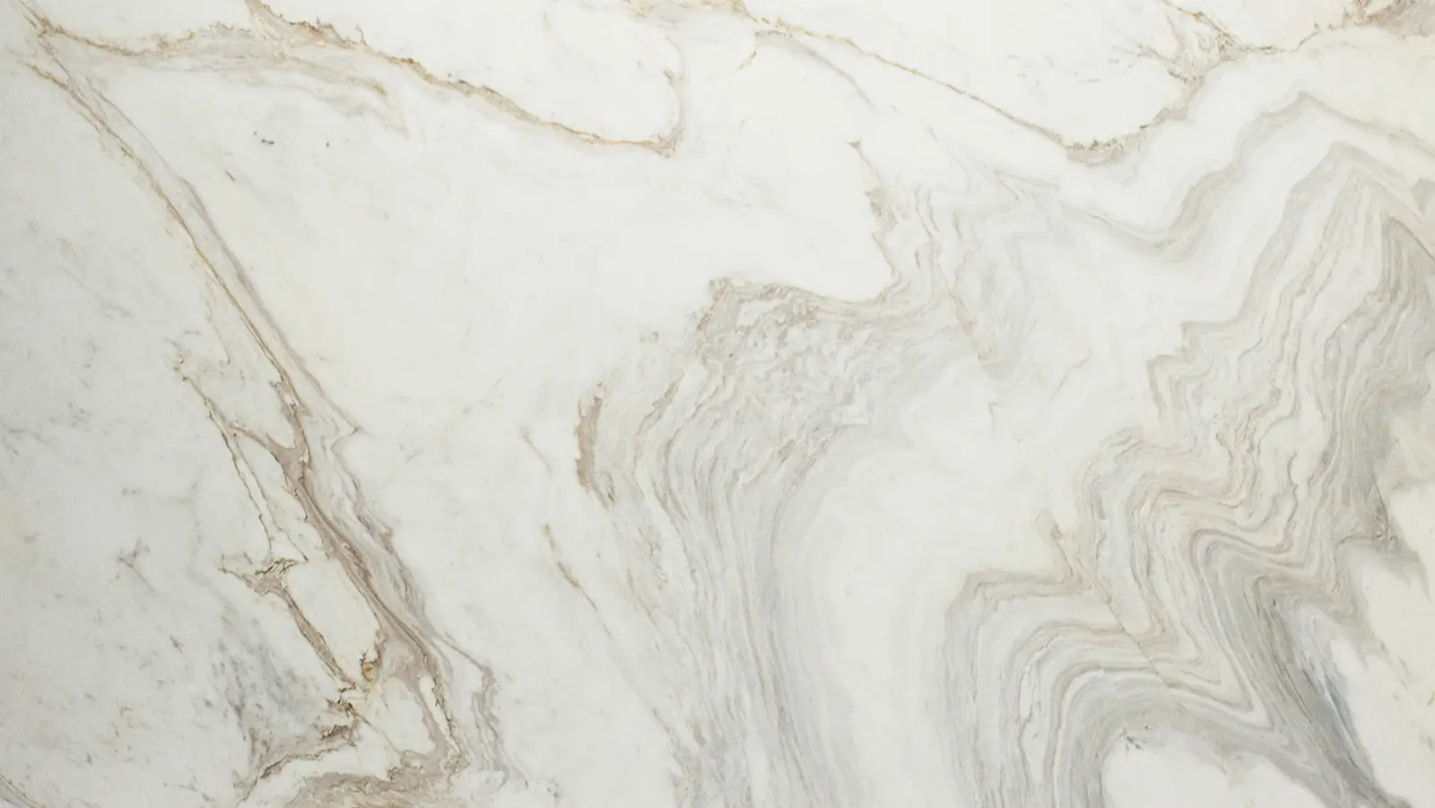 SLAB-205-Z texture